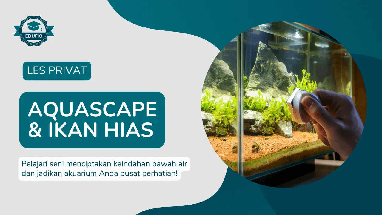 Les Privat Aquascape & Ikan Hias bersama tutor Edufio di Jogja