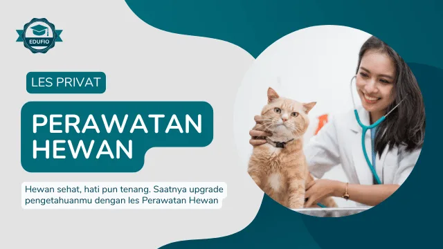 Les Privat Perawatan Hewan Peliharaan di Jogja